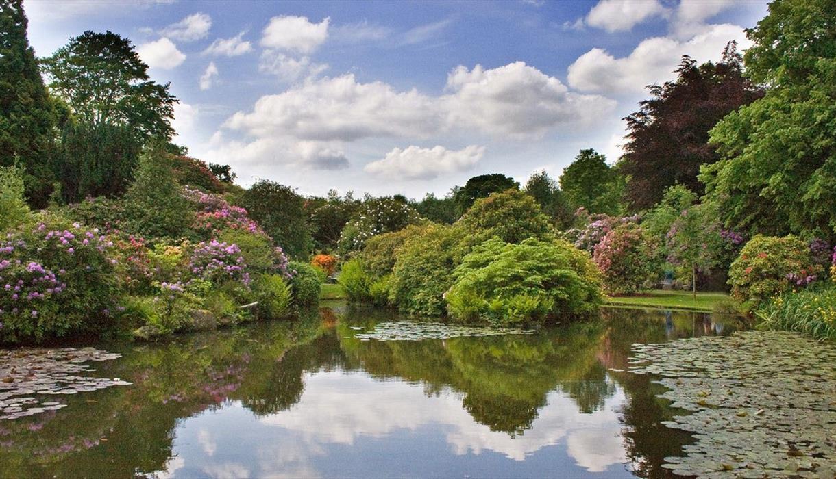 Великолепные сады и парк Биддульф Грейндж Гарден, Англия
