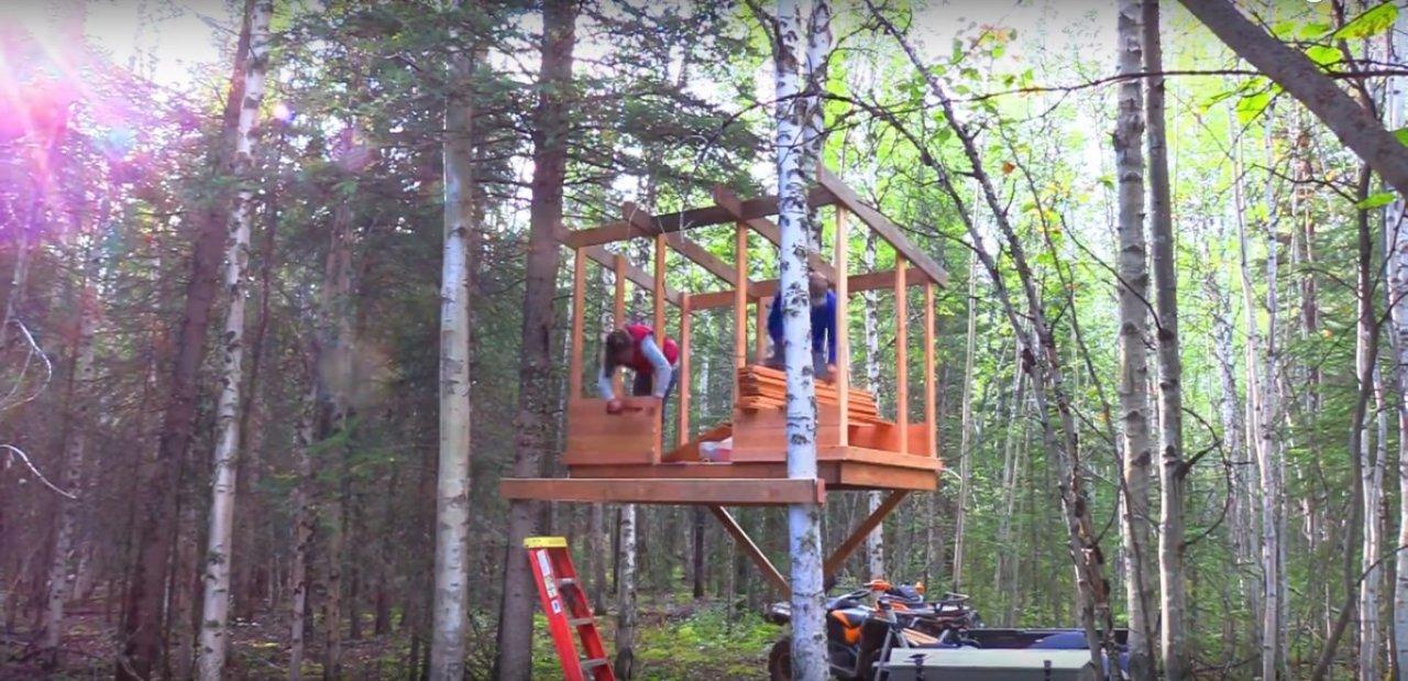 Домик на дереве - идеи и рекомендации по постройке